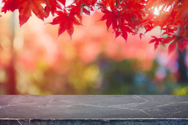 istock Empty black marble stone table top and blurred autumn tree and red leaf background - can used for display or montage your products. 978357204