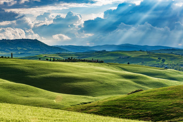 istock Sunny landscape from Val d'Orcia, Tuscany, Italy 978359932