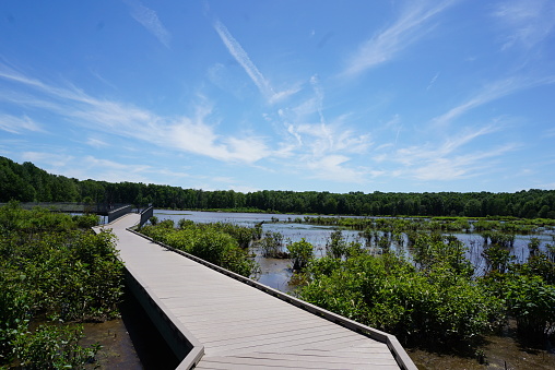 Huntley Meadows Park