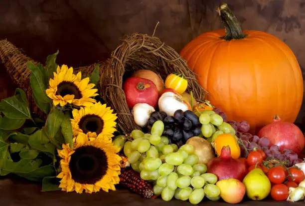 Still life and harvest or table decoration for Thanksgiving