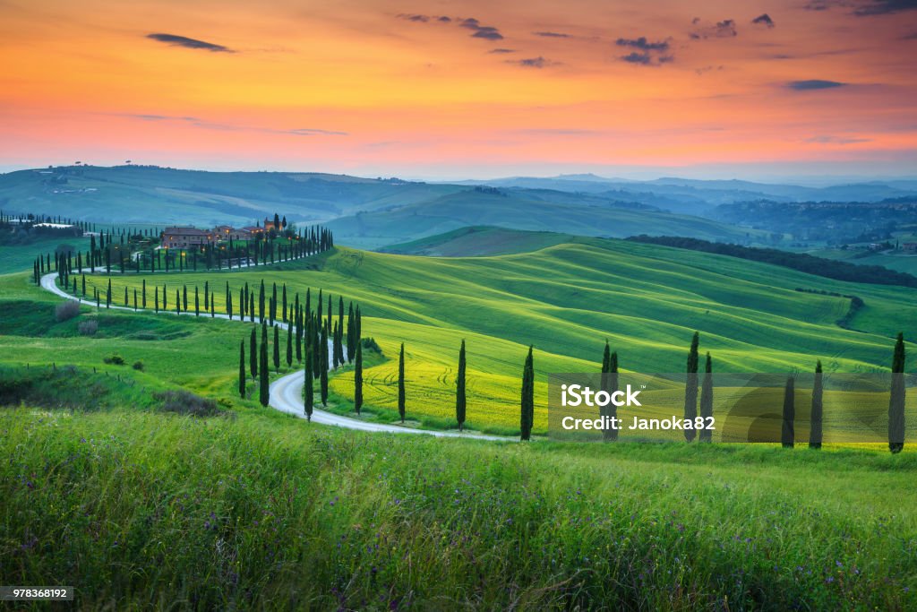 Famous Tuscany landscape with curved road and cypress, Italy, Europe Magical colorful sunset in Tuscany. Picturesque agrotourism and typical curved road with cypress, Crete Senesi rural landscape in Tuscany, Italy, Europe Tuscany Stock Photo