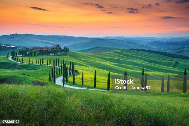 Famous Tuscany Landscape With Curved Road And Cypress Italy Europe Stock Photo - Download Image Now