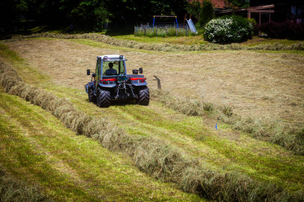 istock Unidentified Farmer rakes fresh hay behind an agricultural machine. 978374468