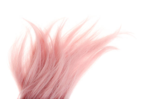 istock piece of pink hair isolated 978379192