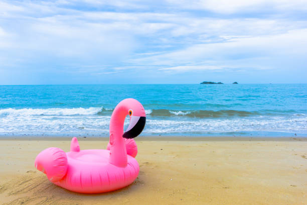 tratwa flamingo na plaży przed błękitnym morzem i białym niebem i nadrukiem stóp - plastic flamingo zdjęcia i obrazy z banku zdjęć