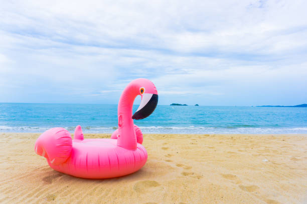 flamingo radeau sur la plage en face de la mer bleue et le ciel blanc et pied impression - plastic flamingo photos et images de collection