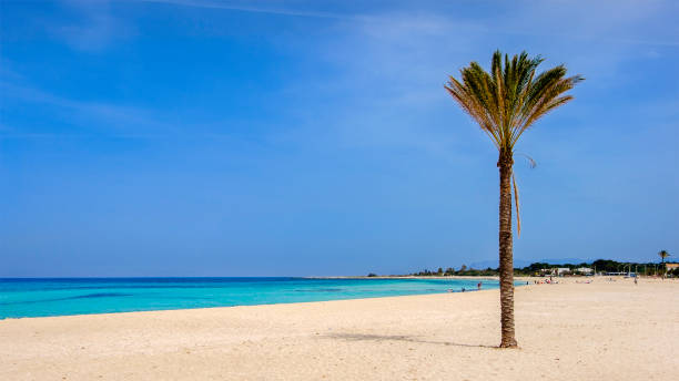 istock Beach of San Vito Lo Capo (Sicily, Italy) 978405790
