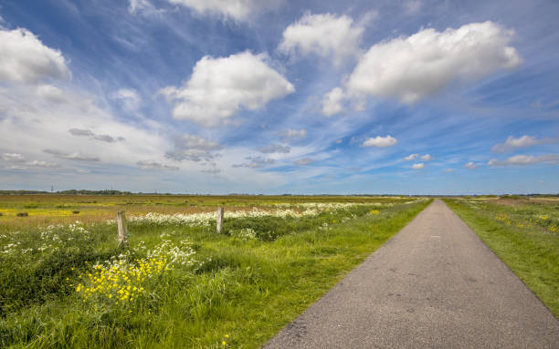 istock Secondary rural road in polder landscape 978410958