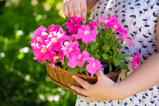 Pretty Asian Woman Holding A Basket Of Summer Flowers