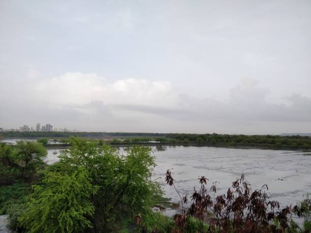 istock Scenic view of lake against sky 978411090