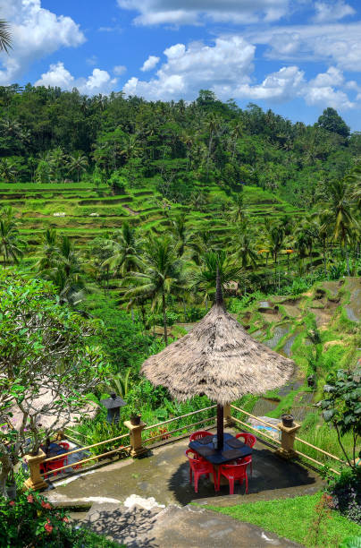istock Ubud palace, Bali, Indonesia 978411272
