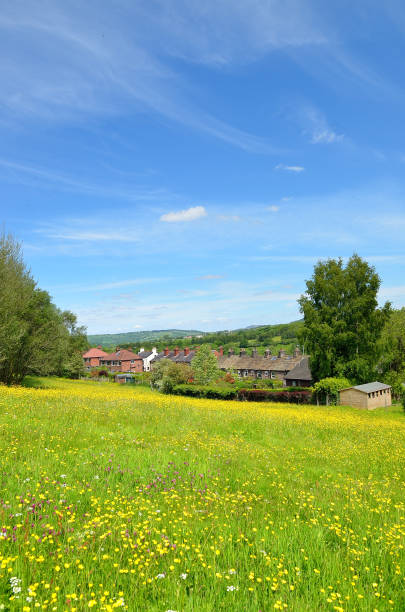 istock Classic british landscape at the Peak district near Manchester 978411432