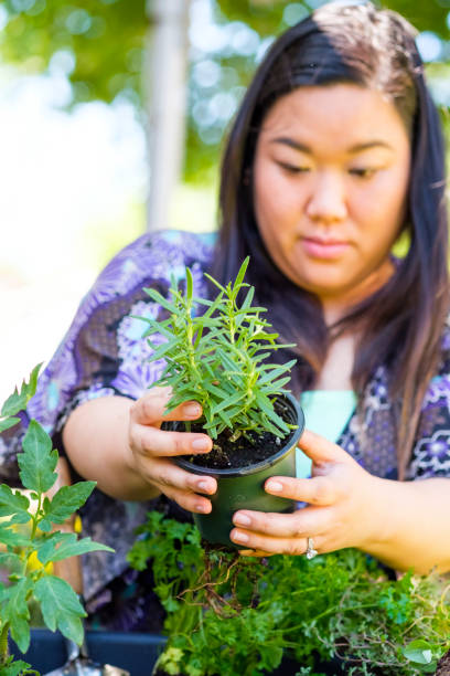 istock Chinese Woman Working In A Flower Pots 978411634