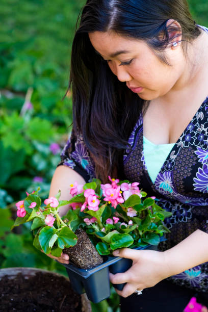 istock Chinese Woman Working In A Flower Pots 978411816
