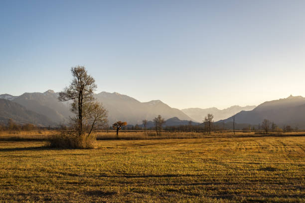istock Murnau Moss in Bavaria 978412064