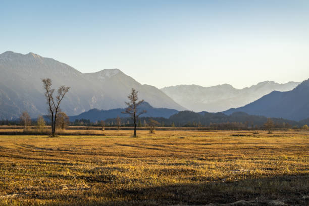 istock Murnau Moss in Bavaria 978416578