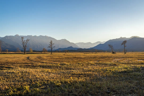 istock Murnau Moss in Bavaria 978416636