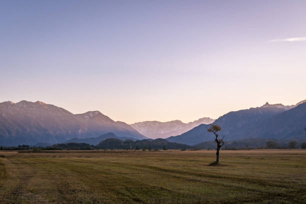 istock Murnau Moss in Bavaria 978417168