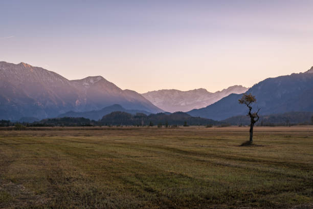 istock Murnau Moss in Bavaria 978417214