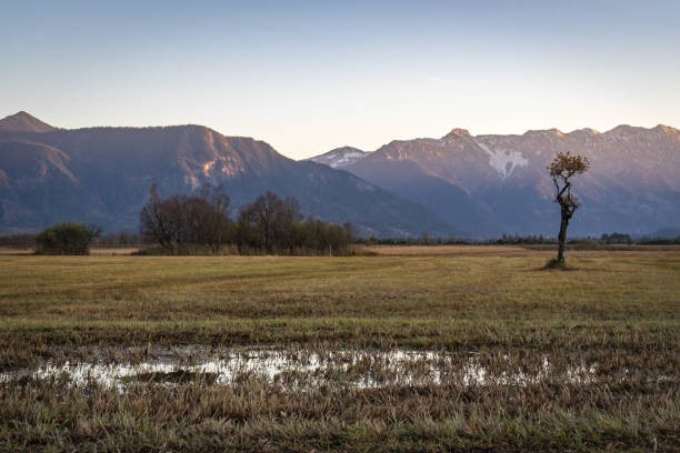 istock Murnau Moss in Bavaria 978417450