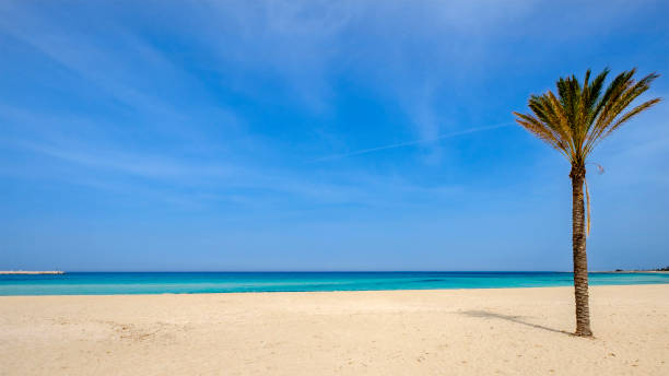 istock Beach of San Vito Lo Capo (Sicily, Italy) 978417486