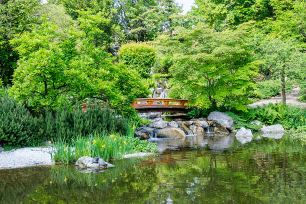 istock Japanese bridge in the botanical garden 978418194