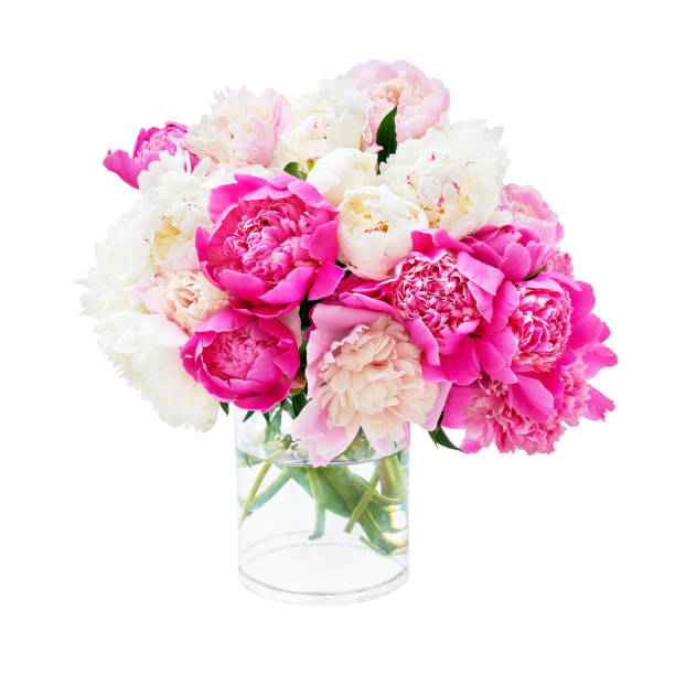istock Beautiful peony bouquet isolated over white background 978427292