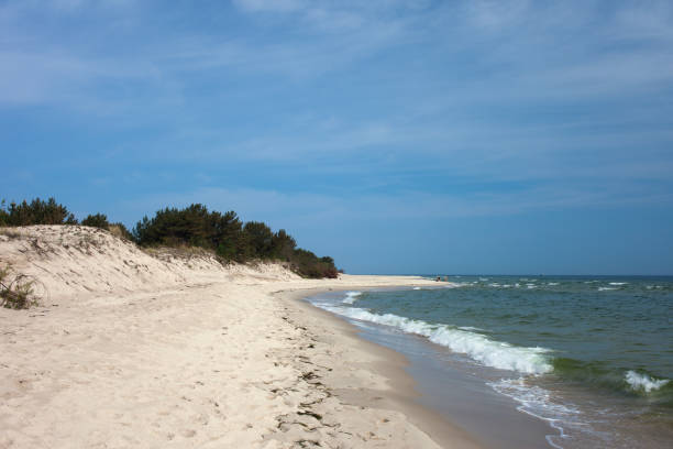 istock Baltic Sea Beach on Hel Peninsula in Poland 978432324