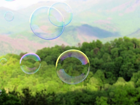 Burbujas en las montañas y los árboles photo
