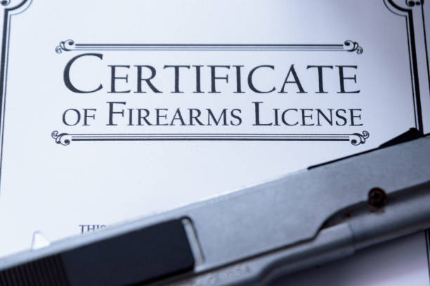 pistola posa su un certificato di licenza di pistola / armi da fuoco - hiding carrying weapon handgun foto e immagini stock