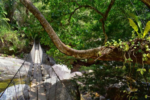 Rope and Wire suspended hanging bridge across a Jungle River in El Eden by Puerto Vallarta Mexico where movies have been filmed stock photo