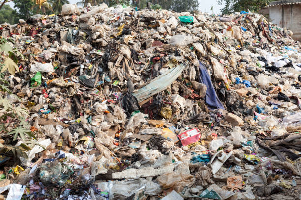 A huge pile of mixed garbage, refuse, and discarded materials is shown at a landfill. Birds fly overhead. The waste contrasts with the expansive blue sky, highlighting themes of overconsumption and waste management.