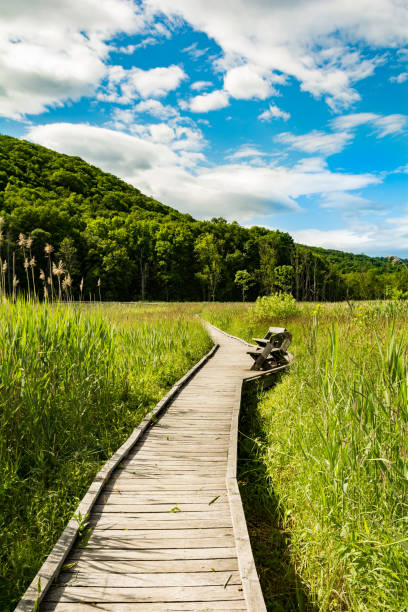 appalachian tail boardwalk - adirondack chair stock-fotos und bilder