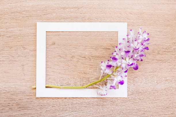 istock Creative Layout Made of Flowers with Paper Card Note on Wood Board. 978484606