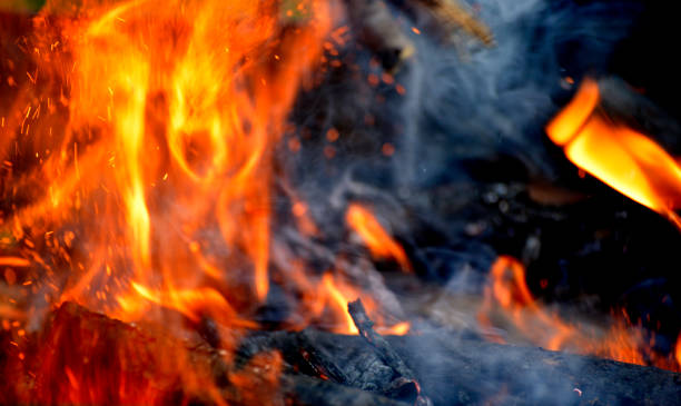 istock Firewood in the fire in the campfire 978491464