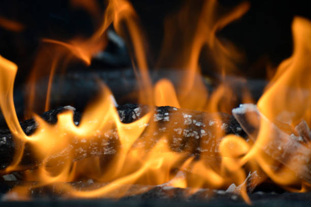 istock Firewood in the fire in the campfire 978491528