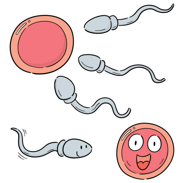 精子と卵 - human sperm eggs human egg sex点のイラスト素材／クリップアート素材／マンガ素材／アイコン素材