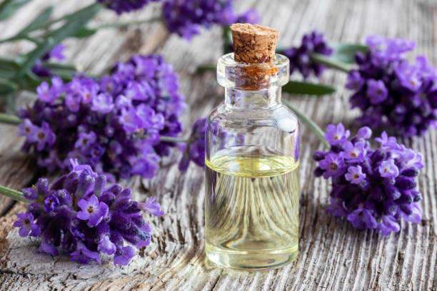 istock A bottle of lavender essential oil with fresh lavender 978498704