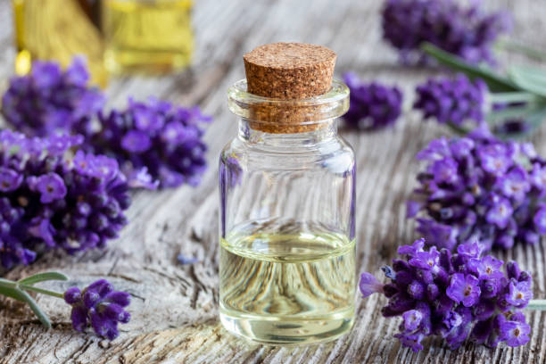 istock A bottle of lavender essential oil with fresh lavender 978498726