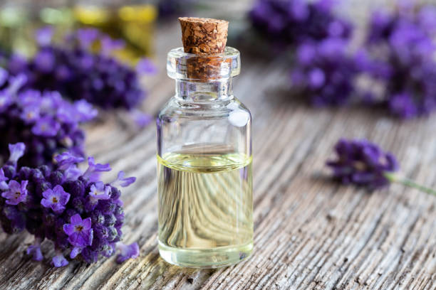 istock A bottle of lavender essential oil with fresh lavender 978498762