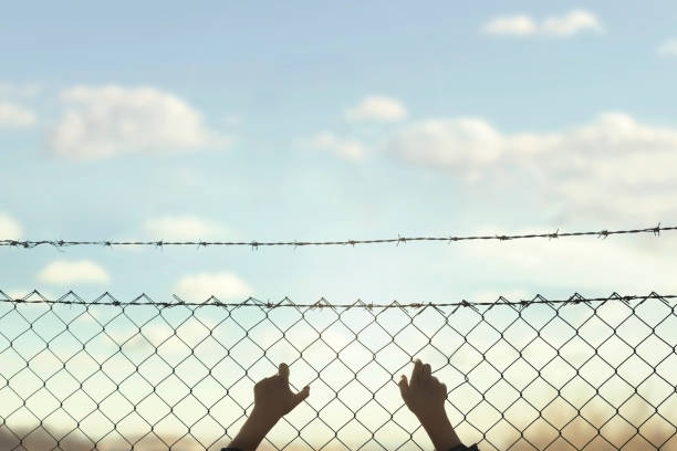 manos de un hombre joven que se aferran a la esperanza de la libertad más allá de una malla de alambre - barred windows fotografías e imágenes de stock