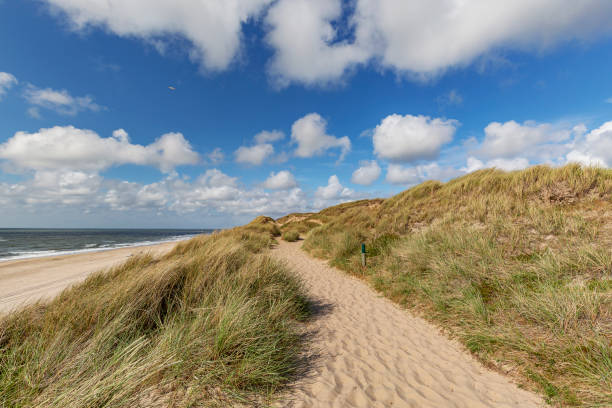 istock View to Beach from Hiking Path on Sylt Dunes / Germany 978499112