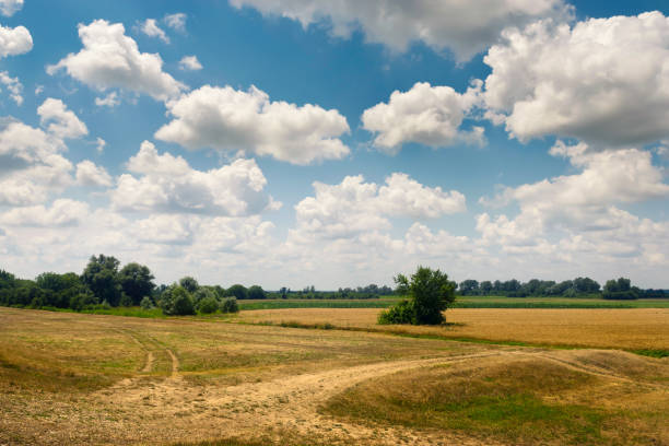 istock Countryside landscape in summer. 978510902