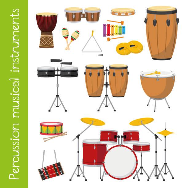 illustrations, cliparts, dessins animés et icônes de set de vector illustration d’instruments de musique de percussion dans le style de dessin animé isolé sur fond blanc - drum