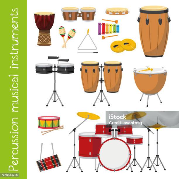 Vector Illustration Set Of Percussion Musical Instruments In Cartoon Style Isolated On White Background Stock Illustration - Download Image Now