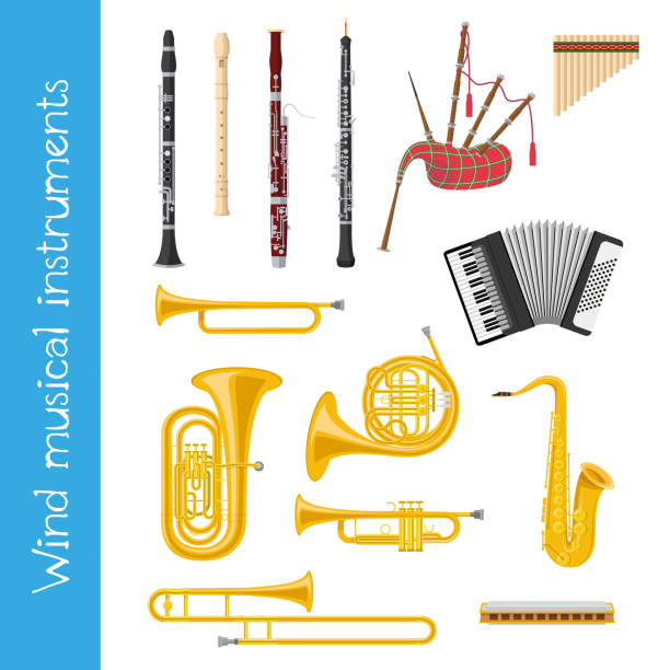 ilustraciones, imágenes clip art, dibujos animados e iconos de stock de conjunto de ilustración de vector de instrumentos musicales de viento en estilo de dibujos animados aislados sobre fondo blanco - brass instrument jazz brass trumpet