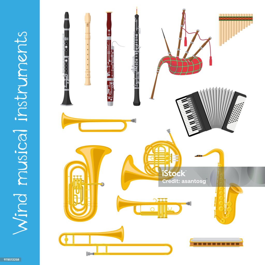 Vector Illustration Set Of Wind Musical Instruments In Cartoon Style  Isolated On White Background Stock Illustration - Download Image Now -  iStock