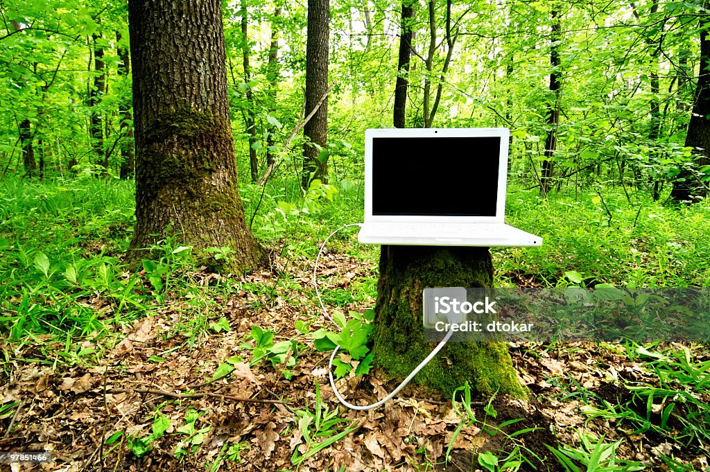 Laptop on stump is charging with help of nature  Computer Stock Photo