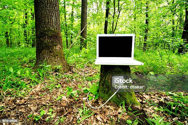 Laptop On Stump Is Charging With Help Of Nature Stock Photo - Download Image Now - Computer, Laptop, Woodland