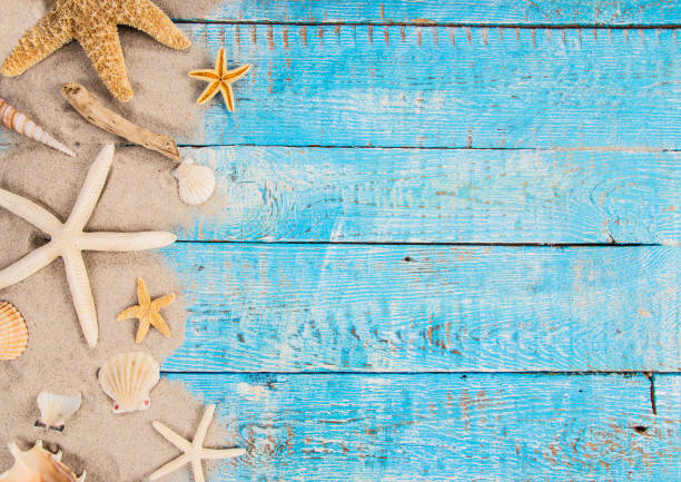istock Summer traveling time. Sea holiday background with various shells 978520942